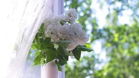 A bouquet of lilacs in a vase on the window . An article about homemade Stock Footage 189771458