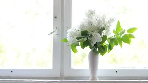 A bouquet of lilacs in a vase on the window . An article about homemade Stock Footage 189771762
