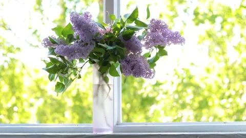 A bouquet of lilacs in a vase on the window . An article about homemade Stock Footage 189771889
