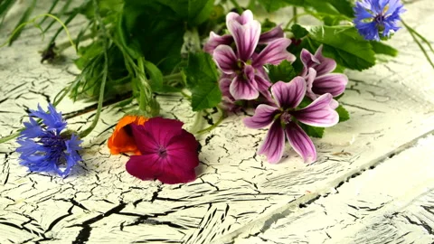 Bouquet of many different multi-colored summer wildflowers. Stock Footage 133159584