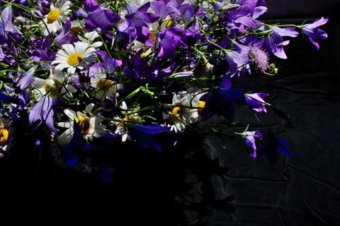 Bouquet Meadow-Flowers Stock Photos