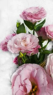 Bouquet of multi-colored eustoma. Pink and lilac with white flowers on a ligh Foto stock