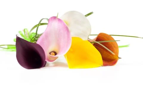 Bouquet of multicolored calla Stock-Fotos