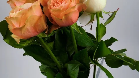Bouquet of orange and yellow roses Stock Footage 84051753