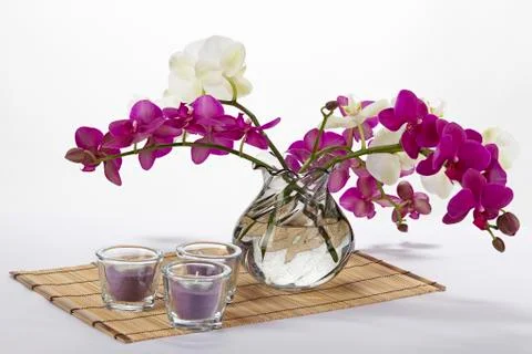 Bouquet of orchids Stock Photos