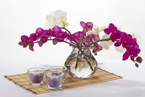 Bouquet of orchids Stock Photos