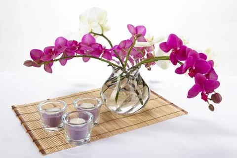 Bouquet of orchids Stock Photos