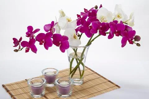 Bouquet of orchids Foto stock