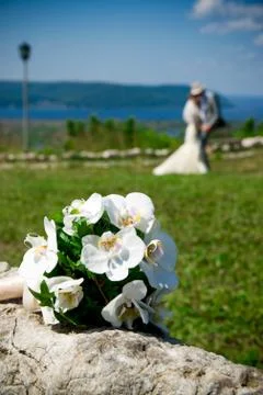 Bouquet of orchids Stock Photos