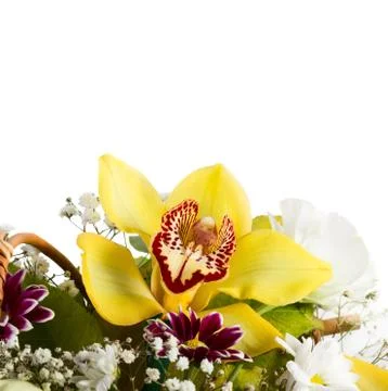 Bouquet with orchids Stock Photos