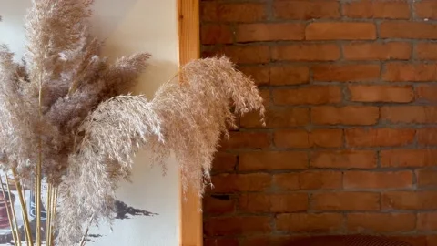 Bouquet of pampas grass sways on the window on the red brick wall background Stock Footage 190660872