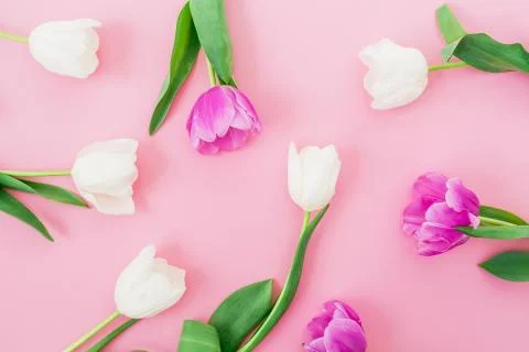 Bouquet pattern made of white and pink flowers on pink background. Spring bac Stock Photos