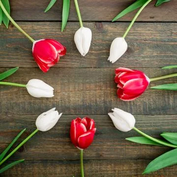 Bouquet pattern made of white and rep flowers on wooden background. Spring ba Stock Photos