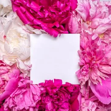 A bouquet of peonies and a note inside. Spring violet flowers Stock Illustration