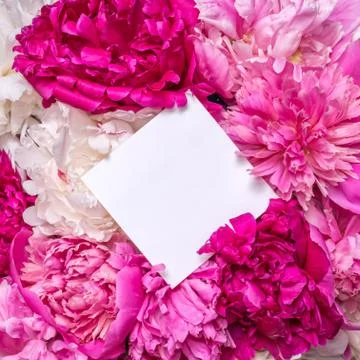 A bouquet of peonies and a note inside. Spring violet flowers Stock Photos