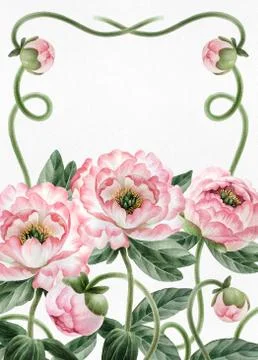 Bouquet of peonies Stock Illustration