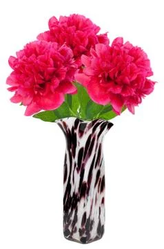 Bouquet of peonies Stock Photos