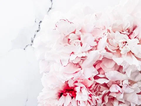 Bouquet of peony flowers on luxury marble background, wedding flatlay and event Stock Photos
