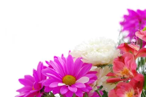 Bouquet Stock Photos