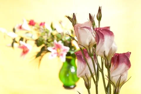 Bouquet Stock Photos