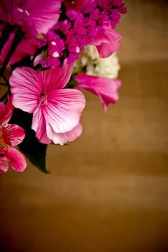 Bouquet Stock Photos