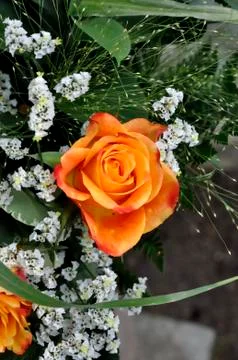 Bouquet Stock Photos