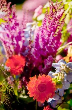 Bouquet Foto stock