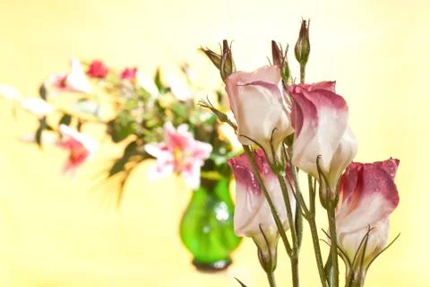 Bouquet Stock Photos