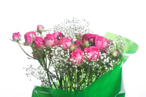 Bouquet. Stock Photos