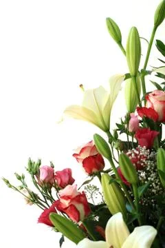 Bouquet Stock Photos