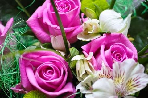 Bouquet Stock Photos