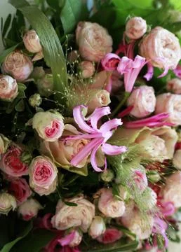 Bouquet Stock Photos