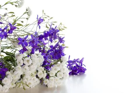 Bouquet Stock Photos