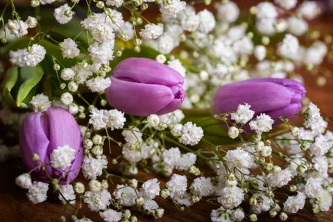 Bouquet Stock Photos