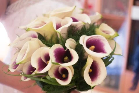 Bouquet Stock Photos