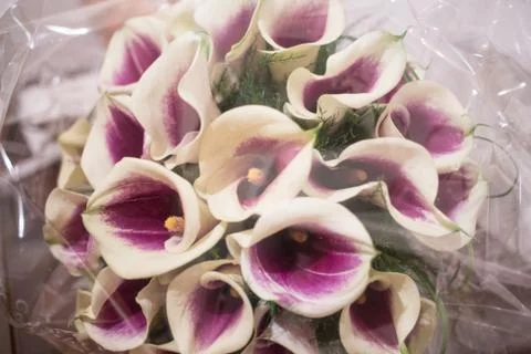 Bouquet Stock Photos