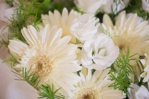 Bouquet Stock Photos