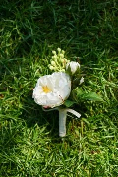 Bouquet Stock Photos