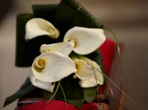 Bouquet 写真素材