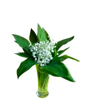 Bouquet Stock Photos