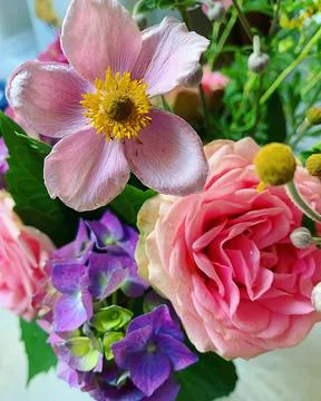 Bouquet Stock Photos