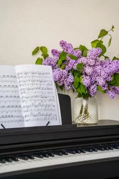 Bouquet Stock Photos