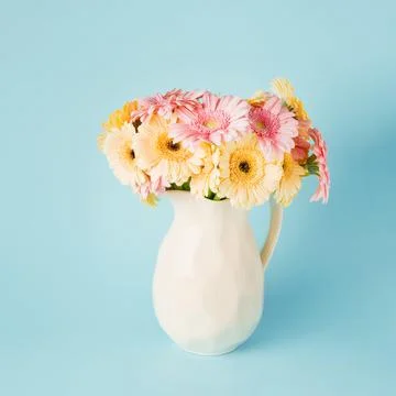 Bouquet of pink and yellow gerberas in a white ceramic jug on a bright blue Stock Photos
