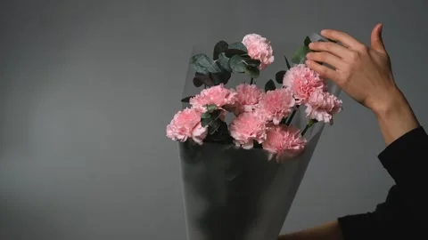 Bouquet of pink carnations on a gray background. Florist assembly a bouquet to Stock Footage 316727627