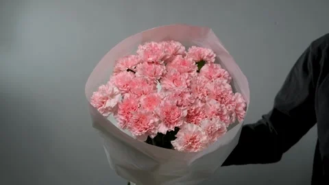 Bouquet of pink carnations on a gray background. Florist assembly a bouquet to Stock-Footage 317907866