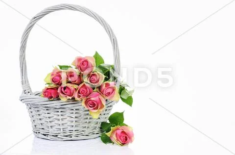 Bouquet of pink roses in basket Stock Photos