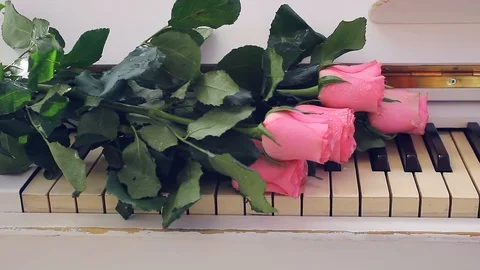 A bouquet of pink roses lying on the keys of a white piano, symbolizing romance. Stock Footage 121152425