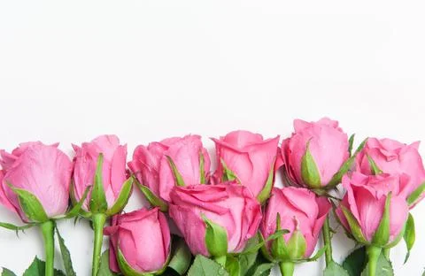 Bouquet of pink roses on a white background Stock Photos