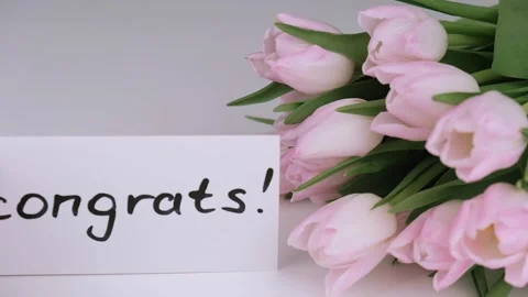Bouquet pink tulips and congratulation on birthday or other holiday. close-up. Stock Footage 303946341