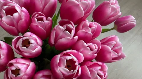 Bouquet of pink tulips Stock Footage 235364995